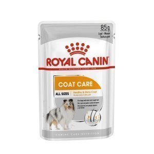 Влажный корм для собак Royal Canin Coat Care canine паштет