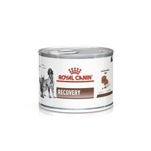 Влажный корм Royal Canin Recovery Canin/Feline диета для кошек и собак мусс