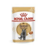 Влажный корм для кошек Royal Canin British Shorthair Adult в соусе